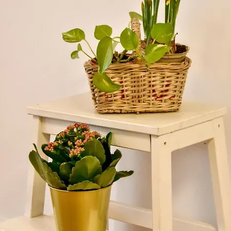 Apartamento Your In